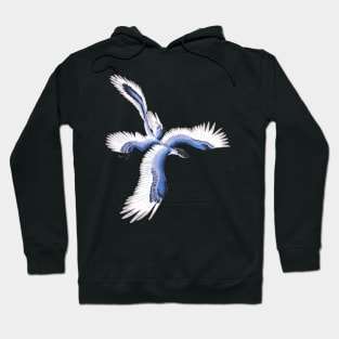 Microraptor Gui (Blue) Hoodie